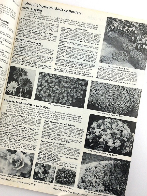 Parks Flower Book 1962 Greenwood South Carolina Garden Seed Catalog Q364 gallery