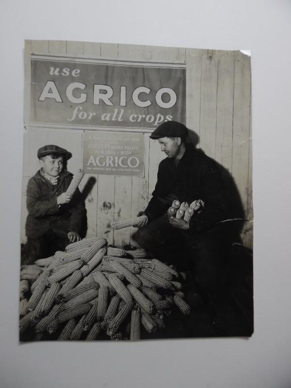 c.1920s AGRICO Fertilizers Publicity Photo Farmer with Big Corn Vintage Original