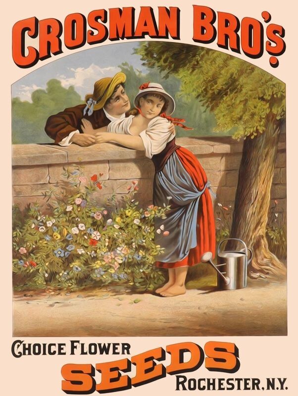 Crossman Seeds of Rochester, NY NEW Metal Sign 18×24″ USA STEEL XL Size 4 lbs