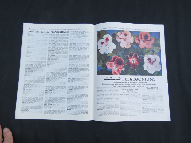 Vintage 1947 HALLAWELL Seed Plant Catalog San Francisco CA Color Scarce gallery