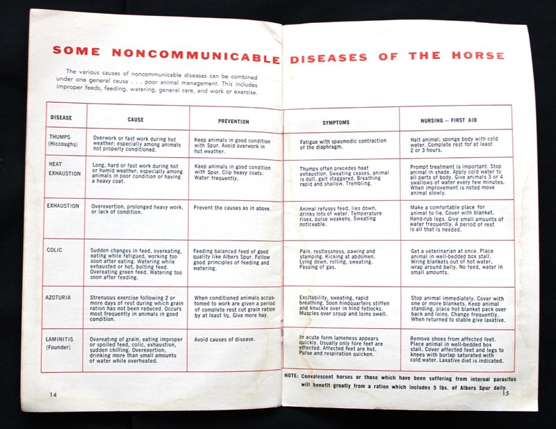 ALBERS SPUR HORSE FEED ADVERTISING INFORMATIONAL BROCHURE GUIDE 1961 VINTAGE gallery