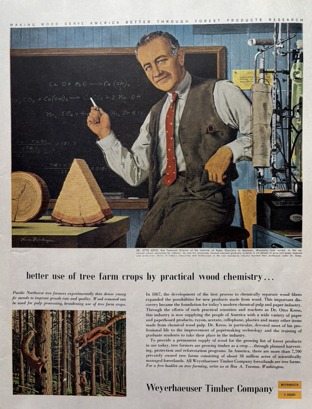 1956 Weyerhaeuser Timber Company Dr. Otto Kress Wood Chemistry VTG Print Ad