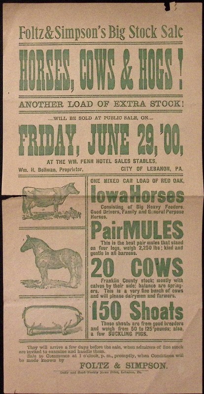 1900 Foltz & Simpson’s Bid Stock Sale Horses Cows Hogs Lebanon PA Broadside