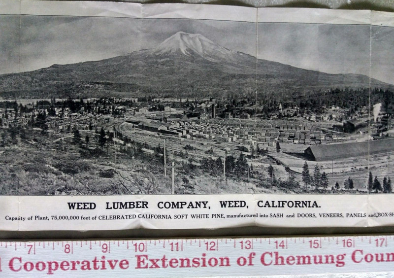 Rare Weed Lumber Company Brochure w/ Panorama Photo of Mt. Shasta & Weed, Calif.