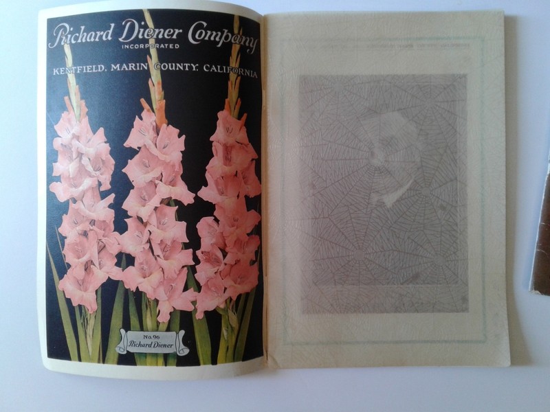 Vintage Garden Richard Diener Company Flower Catalogue. gallery