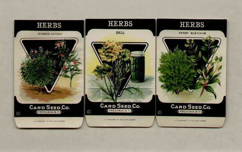SET OF 3 HERBS CARD SEED CO. LITHO 1920’s SEED PACKETS – L@@K