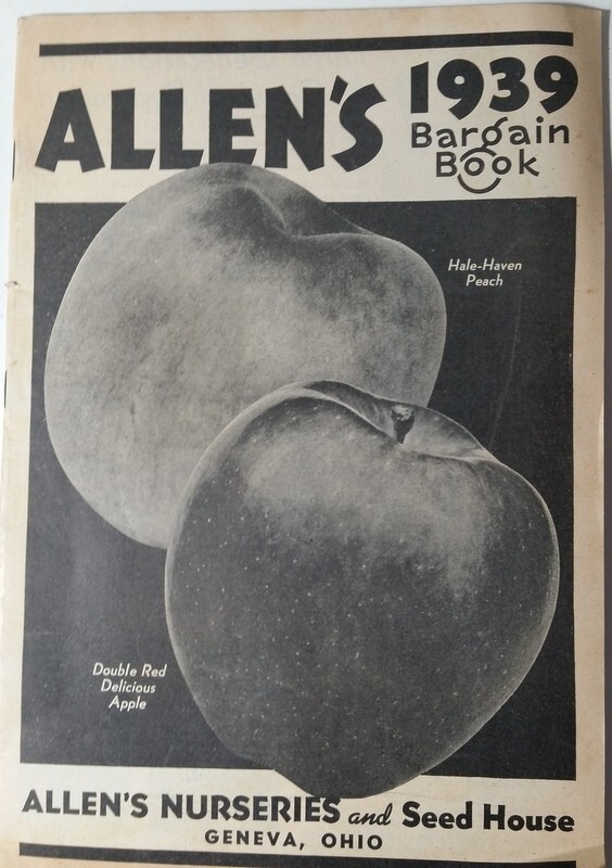 1939 Allen’s Nurseries and Seed House Catalog Geneva OH Ohio Hale-Haven Peach