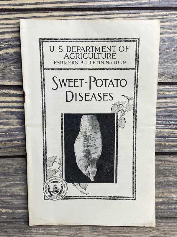 Vintage Farmers Bulletin US Dept of Agriculture No1059 Sweet Potato Disease 1928