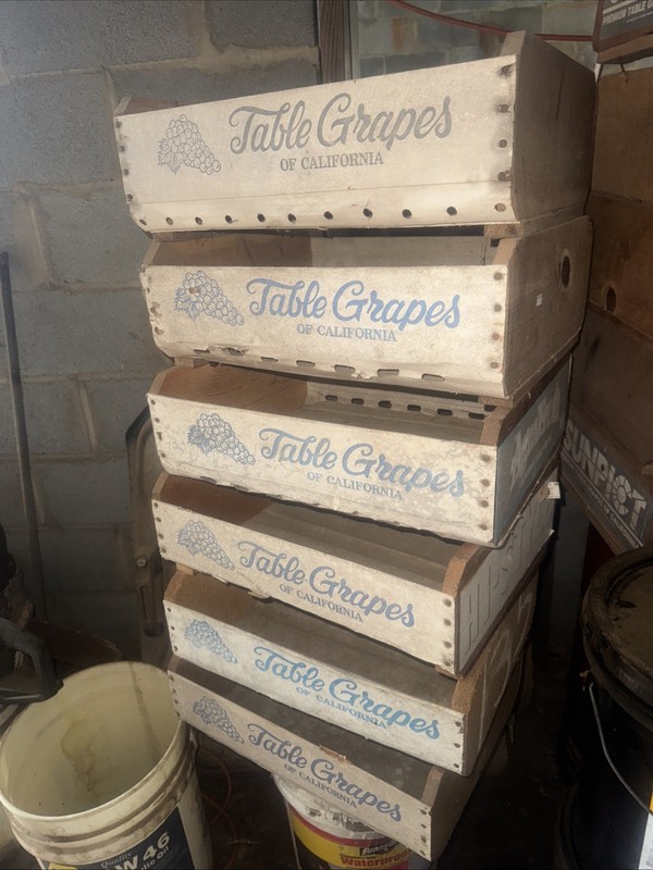 VINTAGE SUN GOLD CALIFORNIA GRAPES FLAT CRATE WOOD PAPER COCHELLA ROBERT CARIAN gallery