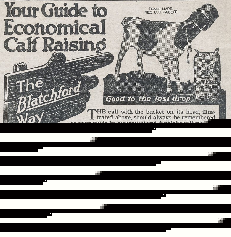 1919 AD.(XH45)~BLATCHFORD CALF MEAL CO. WAUKEGAN, ILL. BLATCHFORD CALF MEAL
