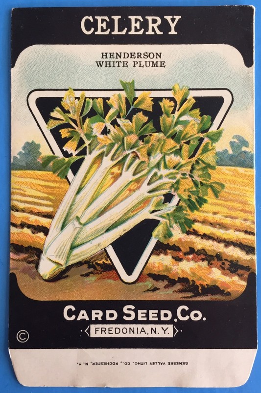 *Original* CELERY Henderson White Plume CARD SEED Packet Pack 1930’s Fredonia NY