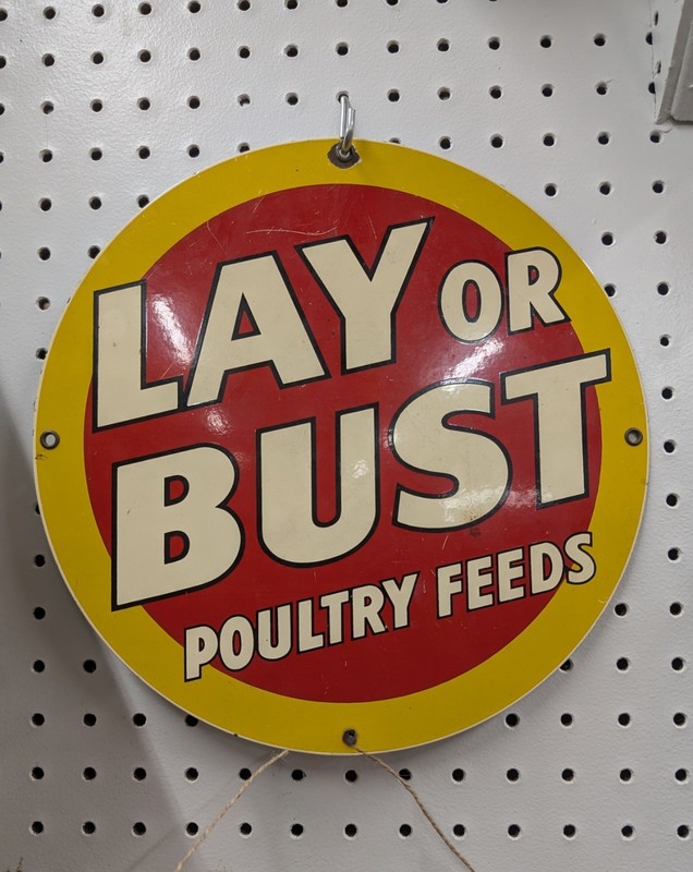 Lay or Bust Poultry Feeds Advertising Sign Yellow Red White Agriculture