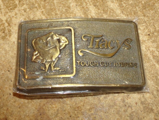 vintage tracys tough guy hybrids belt buckle in nice shape used