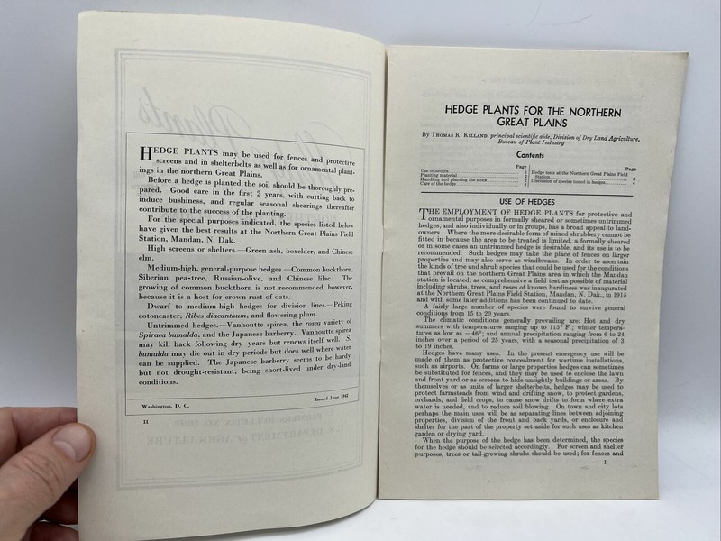 1942 USDA Farmers Bulletin No 1898 HEDGE PLANTS FOR THE NORTHERN GREAT PLAINS gallery