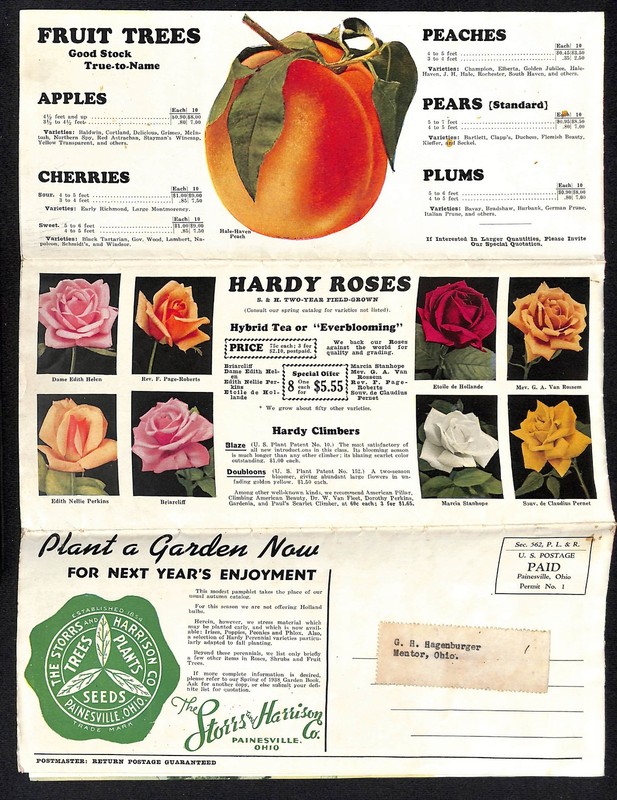 1937-38 Storrs & Harrison Spring Painesville Nurseries Catalog Mailer Sheet VGC