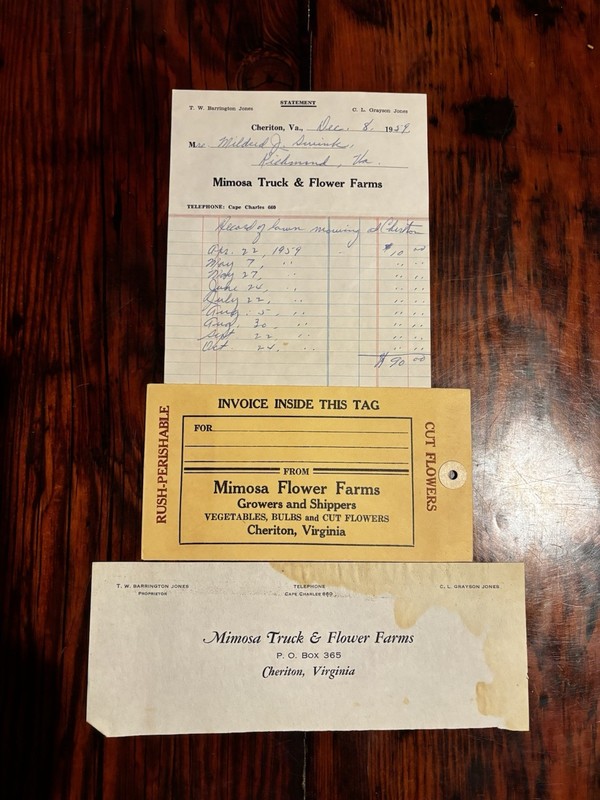 1959 Mimosa Truck & Flower Farms Cheriton VA ESVA Jones Shipping Tag Invoice