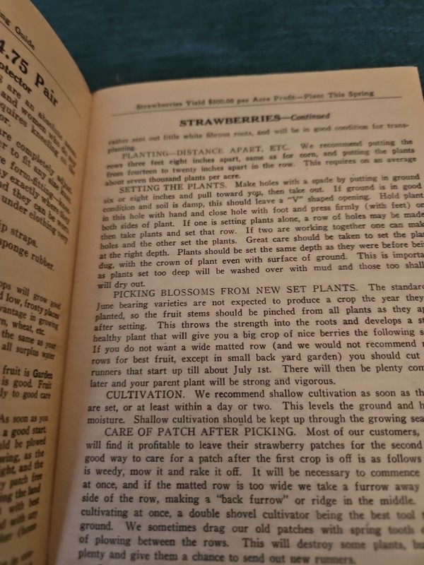 R.H. Shumway, Rockford, Illinois Handy Culture Book and Canning Recipes gallery