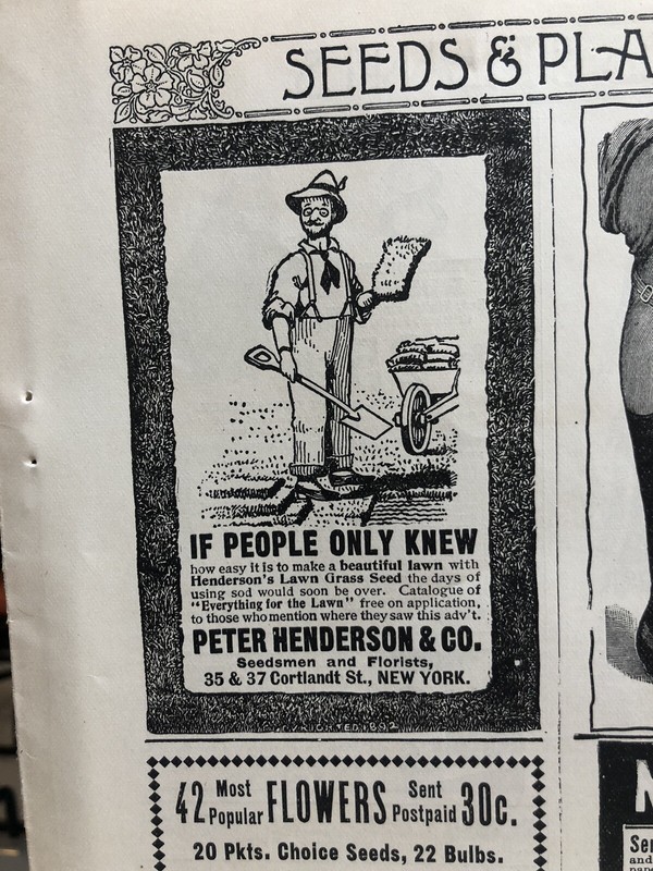 Original Print Ad 1899 Peter Henderson & Co. Seedsmen Florists New York