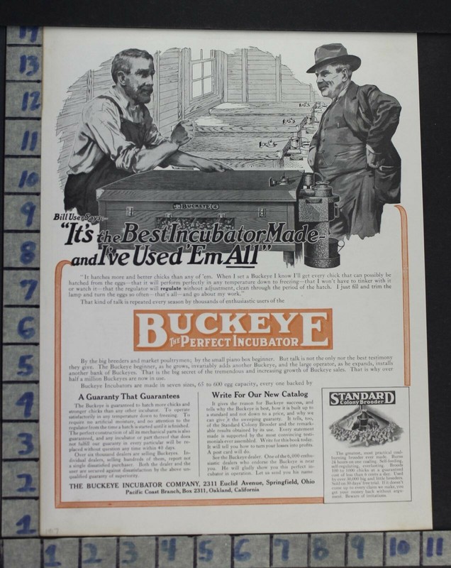 1917 AGRICULTURAL BUCKEYE INCUBATOR CHICKEN BROODER FARMING VINTAGE AD DA38
