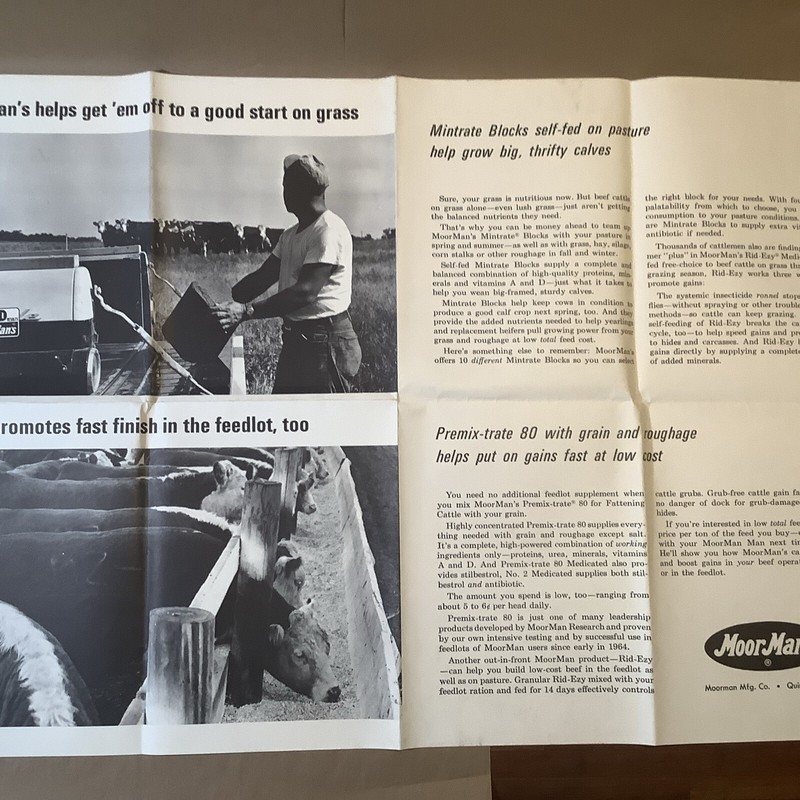 Vintage Moor Man’s Poster Quincy Illinois Piglets INV-AA01L