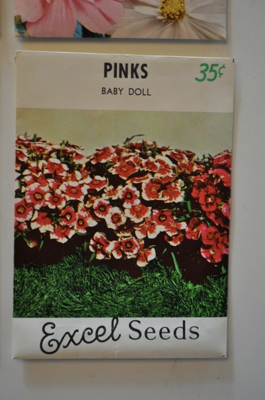 Vintage Seed Packet Ferry Morse and Assorted Flowers 4 Packages gallery