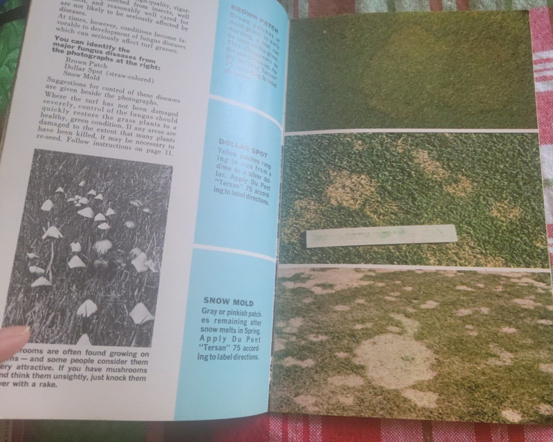 1963 E I DU PONT HOW TO LAWN & GARDEN GUIDE 48 Page Booklet Advertising Products gallery