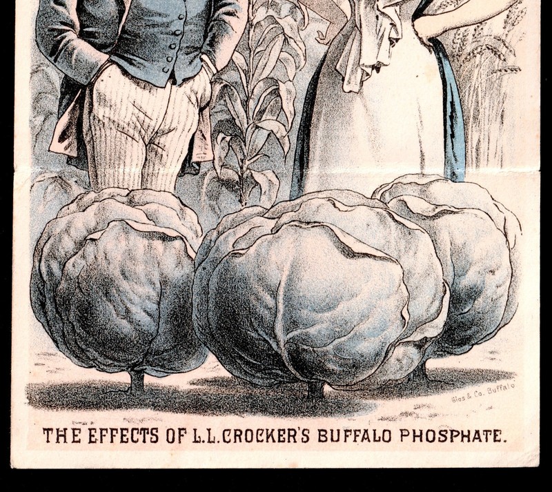 Fantasy Farm Buffalo Bone Fertilizer 1880 Calendar Victorian Trade Card SR.f.fBP gallery
