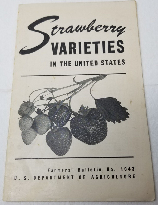 Strawberry Varieties USA 1948 Farmers’ Bulletin Booklet 1043 USDA Photos Charts
