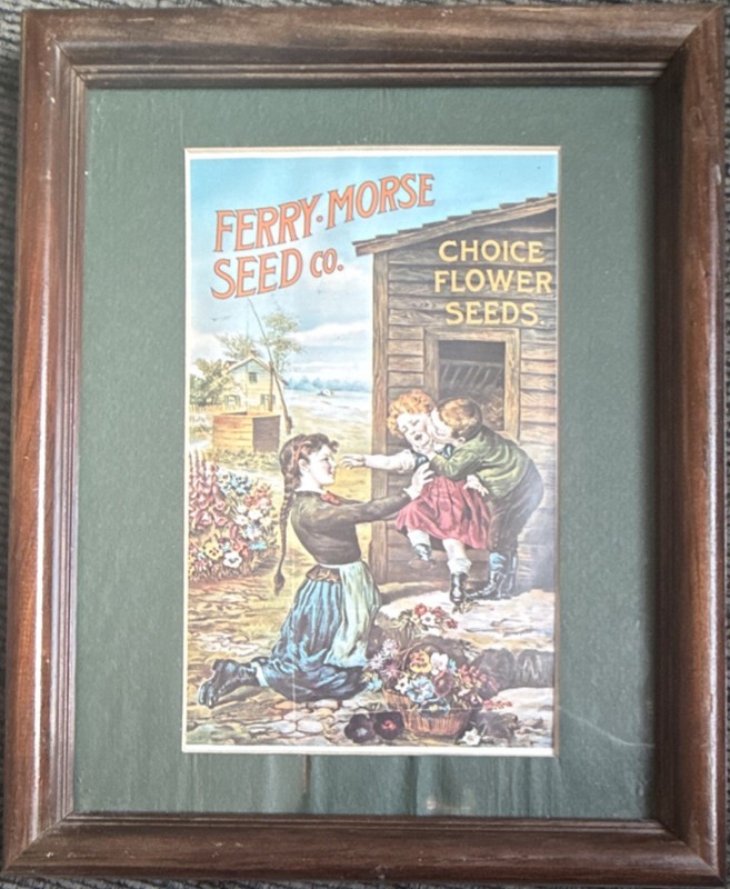 Ferry-Morse Seed Co. Framed Flower Seeds Advertising Sign Reproduction