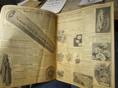1935 R.H. Shumway Rockford Illinois Catalog Seeds Fruit Vegetable Garden Picture