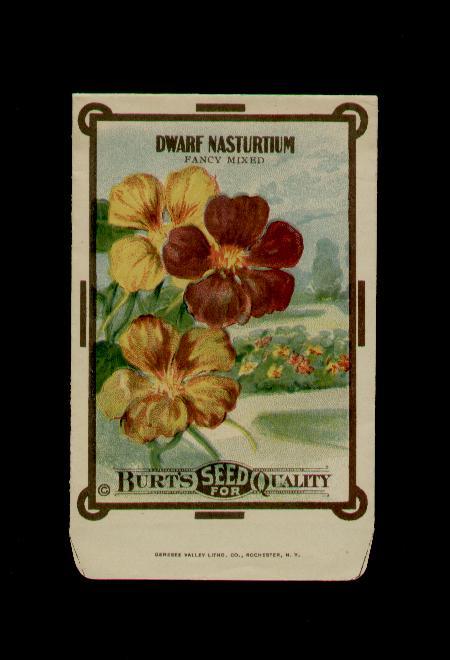 ANTIQUE 1910’s BURTS NASTURTIUM LITHO SEED PACKET FANCY!
