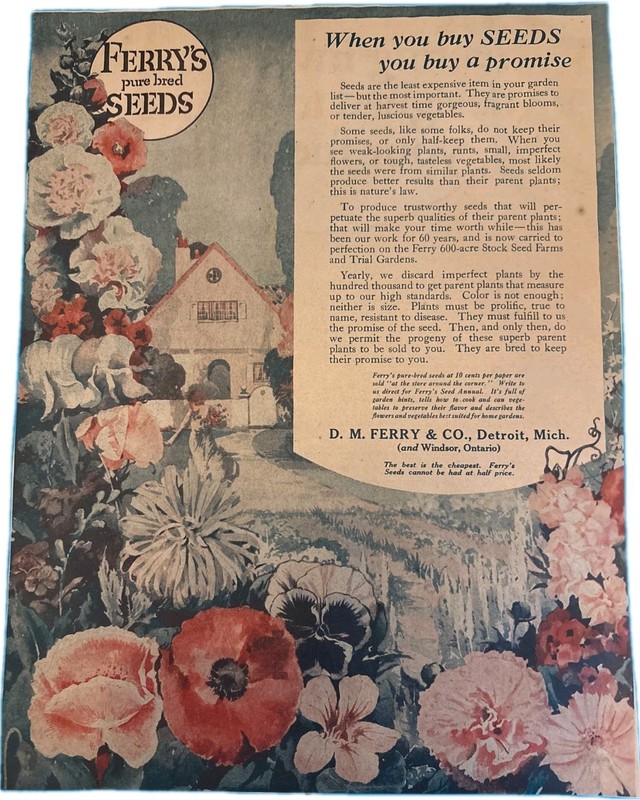 1920s D.M. Ferry Pure Bred Seeds Garden Flower Ad Detroit Vintage Print Ephemera