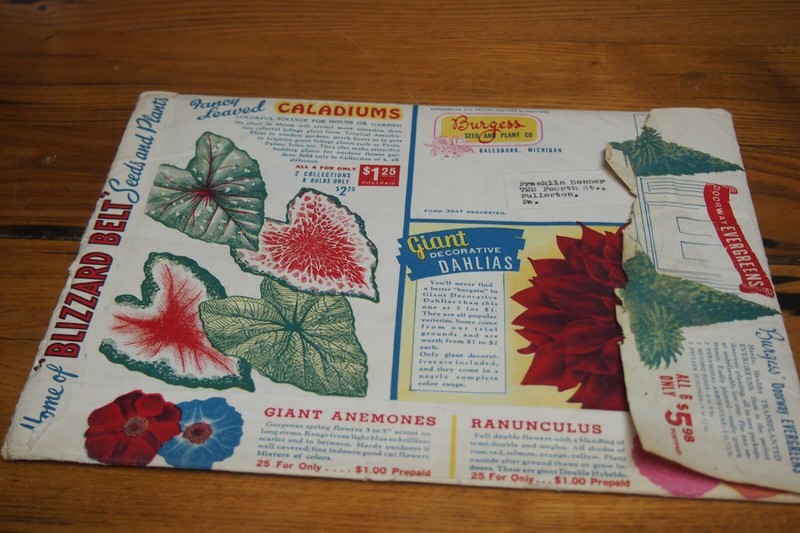 1956 Burgess Seed & Plant Seed Catalog and mailing sleeve