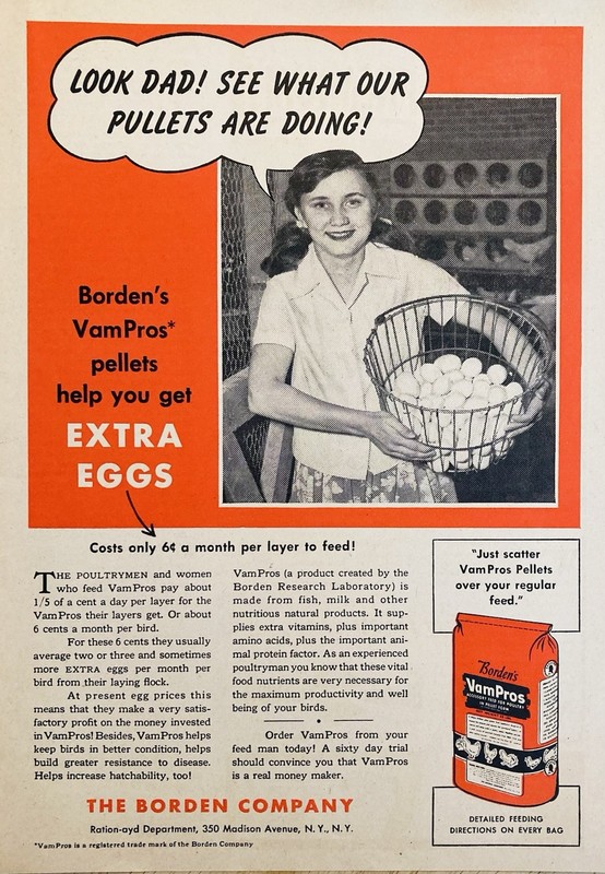 1948 AD.(XH86)~BORDEN CO. VAMPRO FEED POULTRY PELLETS.