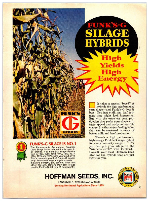 1976 Hoffman Farm Seeds – Original Print Ad (8in x 11in) Advertisement