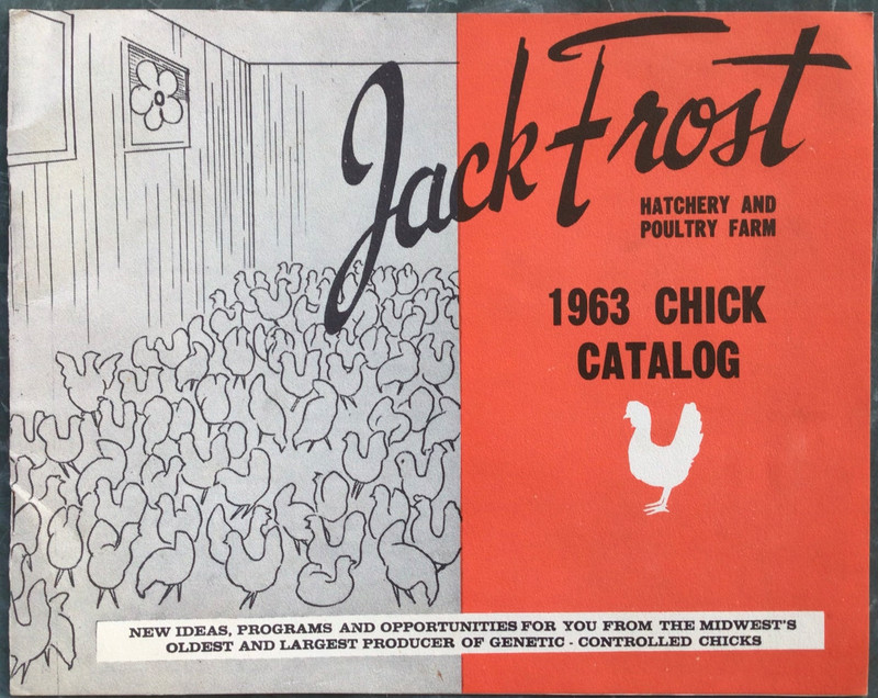 1963 Jack Frost Hatchery And Poultry Farm Chick Catalog, St. Cloud,MN