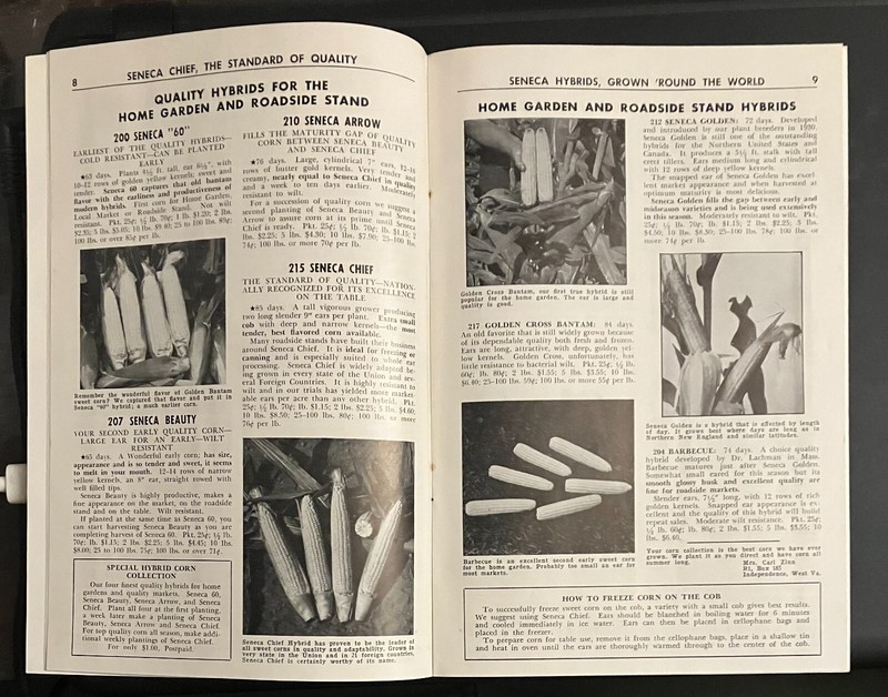 1960 Robson Quality SEED CATALOG Hall NY w/ original mailer and order form 35 Yr gallery