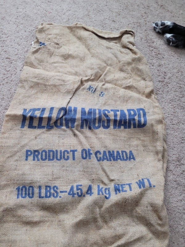 Used Yellow Mustard Product of Canada burlap empty sack gallery