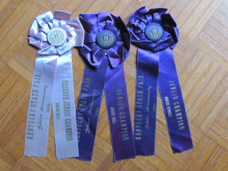 1953 FARM AWARD ANGUS BEEF CATTLE 3 ROSETTE RIBBON KENTUCKY STATE FAIR GOLDEN