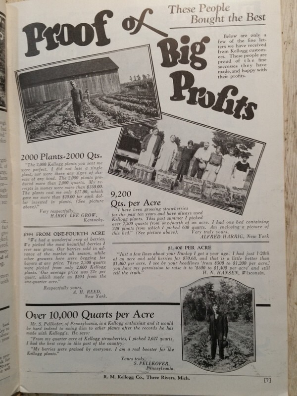 1937 Kellogg's Strawberries and Garden Fruits Catalog Three Rivers MI Michigan gallery