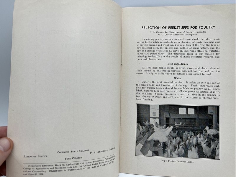 1941 SELECTION OF FEEDSTUFFS FOR POULTRY Bulletin 367-A COLORADO STATE COLLEGE gallery