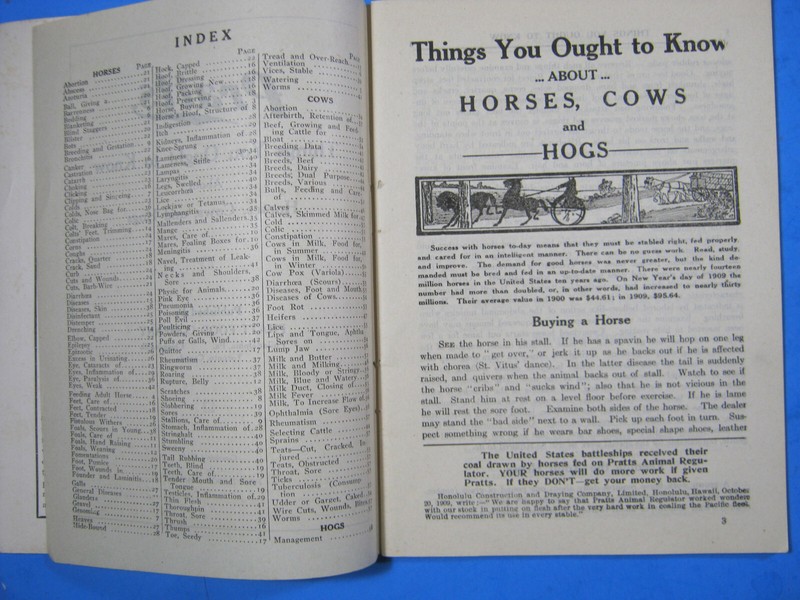 1911 PRATTS FOOD HORSES COWS HOGS CATALOG ALLEN AMES NY DEALER BOOK gallery