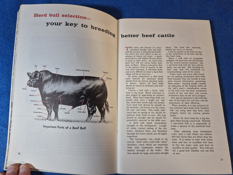 Vintage 1971 Life at It Best by The American Angus Association brochure gallery