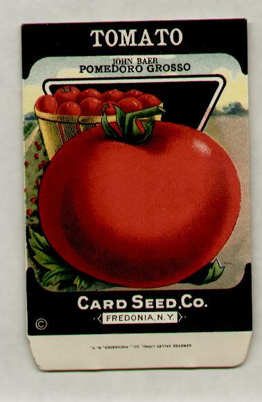 1920’s LITHO CARD CO. POMEDORO TOMATO SEED PACKET
