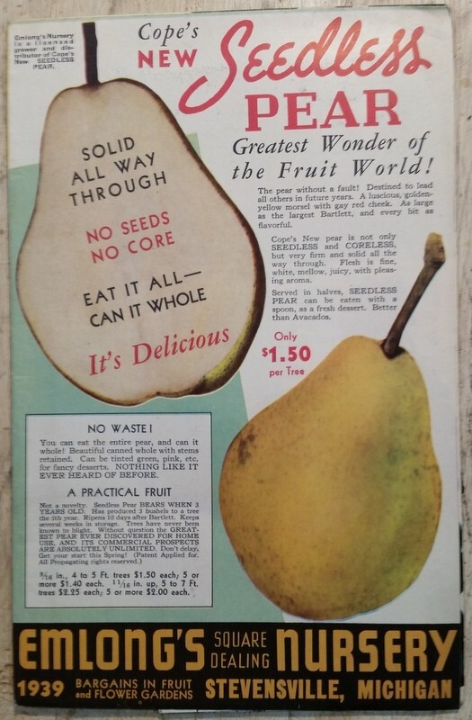 1939 Emlong’s Nursery Fruit Flowers Stevensville, MI Seed Plant Catalog