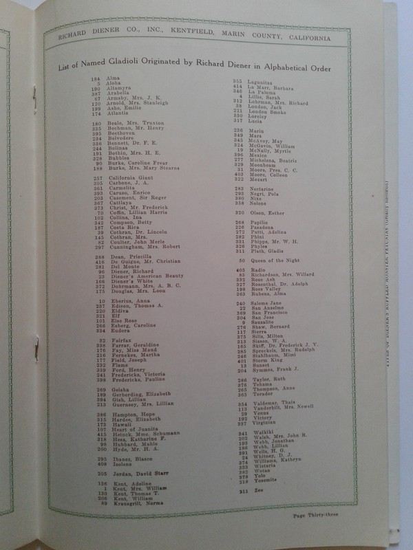 Vintage Garden Richard Diener Company Flower Catalogue. gallery