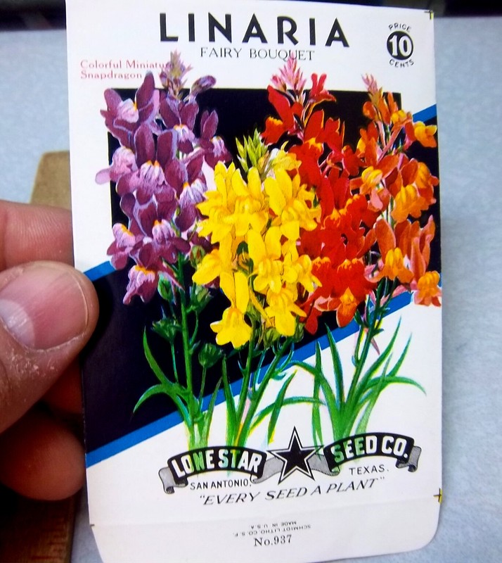 Vintage EMPTY seed pack, LINARIA ornamental mix, amazing graphics, 1940s Texas
