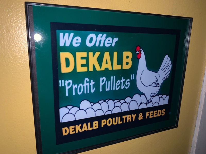 Dekalb Poultry Chicken Farm Feed Store Barn Farmer Advertising Sign