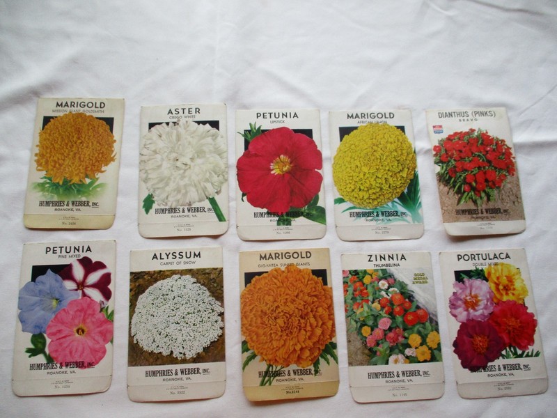 Lot of 10 Antique HUMPHRIES & WEBBER Flower Seed Packet Envelopes New Old Stock
