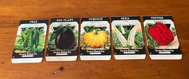 NOS Card Seed Co. 5 Vintage Seed Packets Genesee Valley Litho Co Fredonia N.Y
